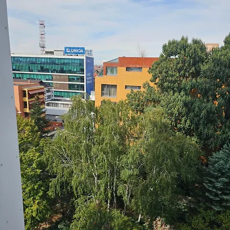 Apartment Deluxe New In Town By The Park And *